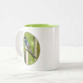 Tasse 2 Couleurs Musique d'hirondelle (Devant gauche)