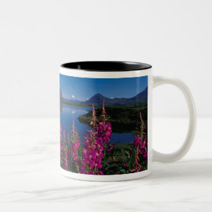Tasse 2 Couleurs N.A., États-Unis, Alaska, Alaska Range Common