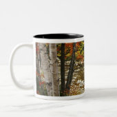 Tasse 2 Couleurs N.A., États-Unis, New Hampshire, White Mountains, (Gauche)