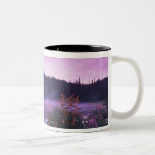 Tasse 2 Couleurs N.A., États-Unis, Washington, Mt. Rainier National