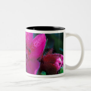 Tasse 2 Couleurs NA, États-Unis, Alaska, Îles Aléoutiennes, Fleurs