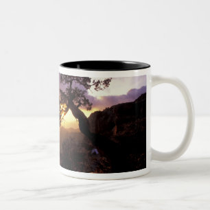 Tasse 2 Couleurs NA, États-Unis, Arizona, Tucson, Coucher de soleil
