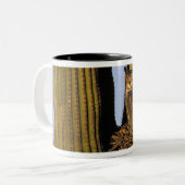 Tasse 2 Couleurs NA, États-Unis, Arizona, Tucson. Grand-duc d'Améri (Devant gauche)