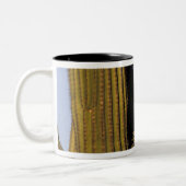Tasse 2 Couleurs NA, États-Unis, Arizona, Tucson. Grand-duc d'Améri (Gauche)