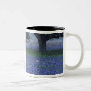 Tasse 2 Couleurs NA, Texas, Devine, Chêne et bleuets