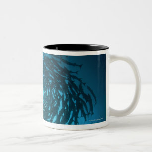 Tasse 2 Couleurs Natation de barracuda de Blackfin en cercles