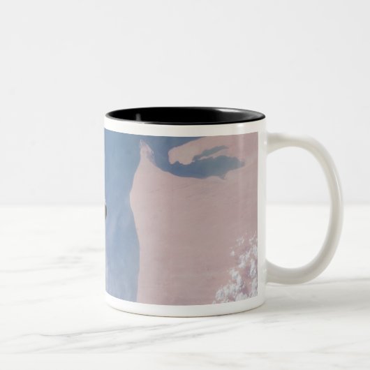 Tasse 2 Couleurs Navette spatiale Endeavor 19 (Droit)