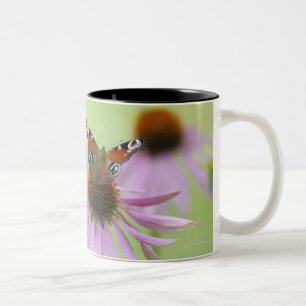 Tasse 2 Couleurs Nectar potable de papillon de paon (Inachis E/S)