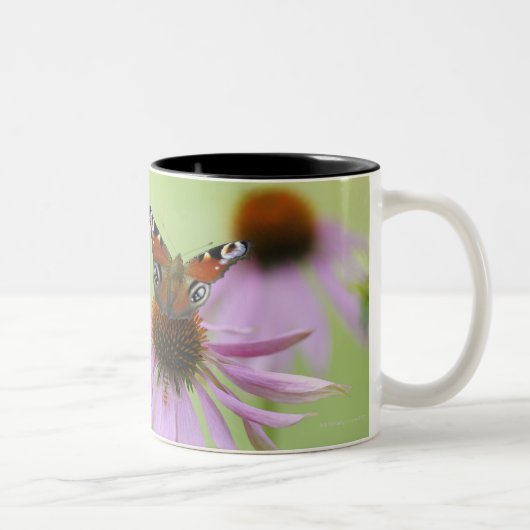 Tasse 2 Couleurs Nectar potable de papillon de paon (Inachis E/S) (Droit)