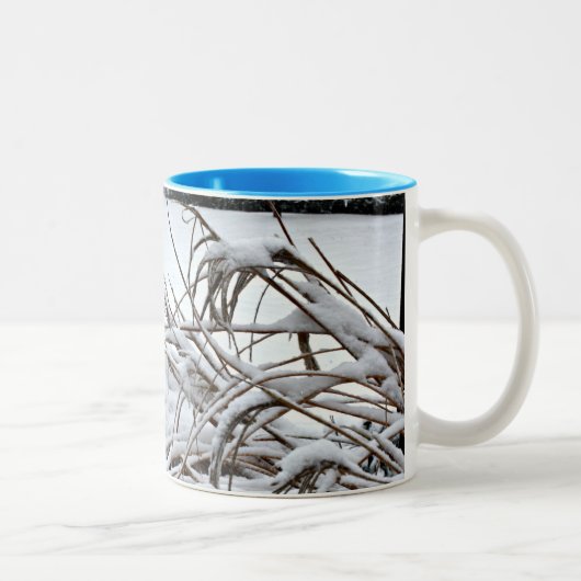 Tasse 2 Couleurs Neige 2 (Droit)