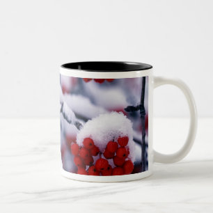 Tasse 2 Couleurs Neige sur les baies de sorbier des oiseaux europée