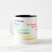Tasse 2 Couleurs Nerfs crâniens (Devant gauche)