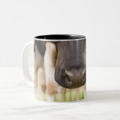 Tasse 2 Couleurs Nez de vache (Devant gauche)