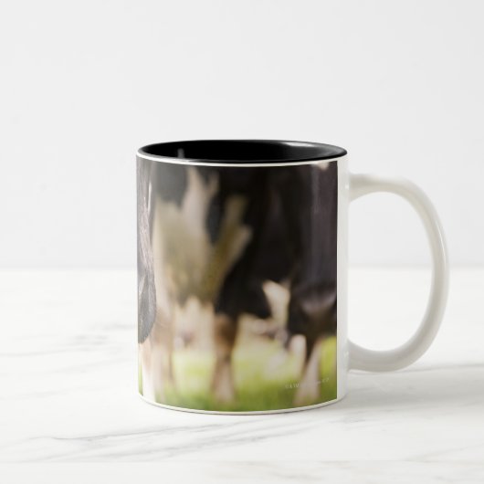 Tasse 2 Couleurs Nez de vache (Droit)