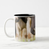 Tasse 2 Couleurs Nez de vache (Gauche)