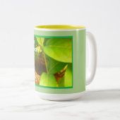 Tasse 2 Couleurs Nid de colibri (Devant droit)