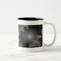 Noël Poinsettia noir et gris II