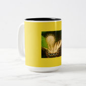 Tasse 2 Couleurs Noir et jaune jaunes de monarque (Devant gauche)