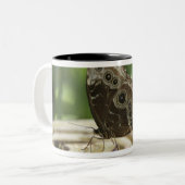 Tasse 2 Couleurs Nourriture pour des papillons (Devant gauche)