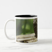 Tasse 2 Couleurs Nourriture pour des papillons (Gauche)
