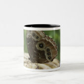 Tasse 2 Couleurs Nourriture pour des papillons (Centre)