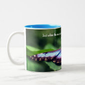 Tasse 2 Couleurs Nouveau début Papillon Inspiration Citation (Gauche)