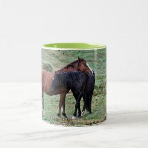 Tasse 2 Couleurs Nouveaux Ponies Forestières de Hampshire Angleterr