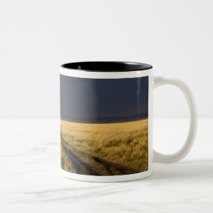 Tasse 2 Couleurs Nuages orageux et route à travers les plaines gaze