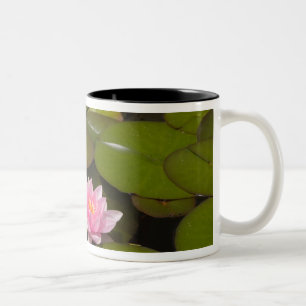 Tasse 2 Couleurs Nymphéas en fleurs