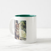 Tasse 2 Couleurs Observation tigrée de chaton (Devant gauche)
