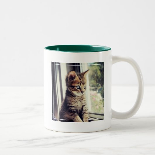 Tasse 2 Couleurs Observation tigrée de chaton (Droit)