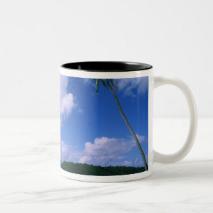 Tasse 2 Couleurs Océanie, Polynésie française, Tahiti. Vue de