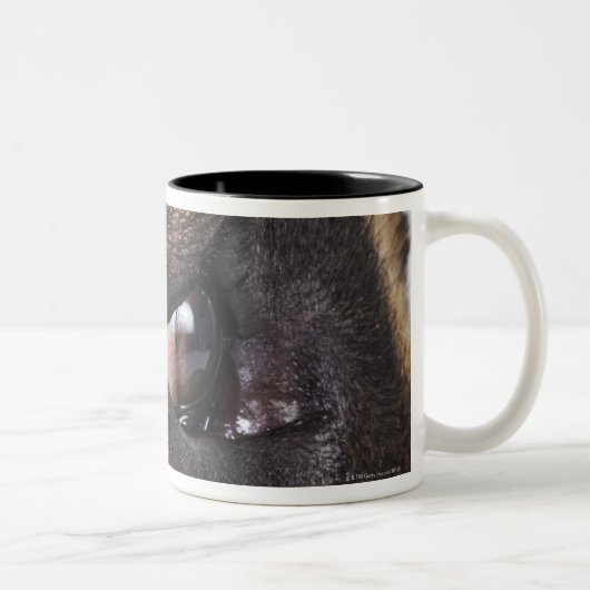 Tasse 2 Couleurs Oeil de great dane (Droit)