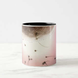Tasse 2 Couleurs Oeuf fertilisé par le sperme