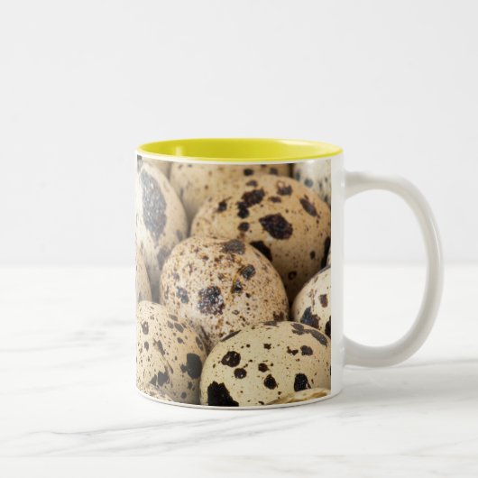 Tasse 2 Couleurs Oeufs de caille (Droit)