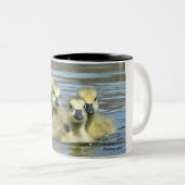 Tasse 2 Couleurs Oie des bébés (Devant droit)