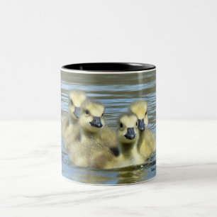 Tasse 2 Couleurs Oie des bébés