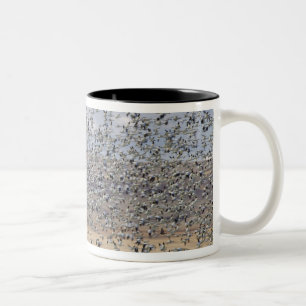 Tasse 2 Couleurs Oies des neiges pendant la migration printanière