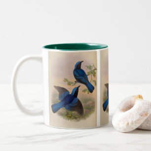 Tasse 2 Couleurs Oiseau bleu à manteau bleu de John Gould