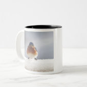 Tasse 2 Couleurs Oiseau bleu oriental gras (Devant gauche)