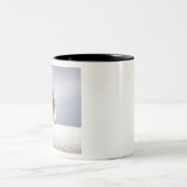 Tasse 2 Couleurs Oiseau bleu oriental gras (Centre)