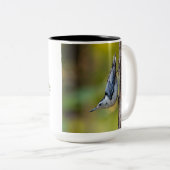 Tasse 2 Couleurs Oiseau, Nuthatch, 2 côtés, (Devant droit)