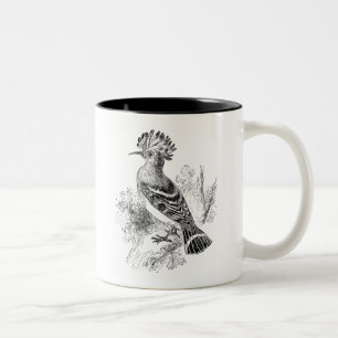 Tasse 2 Couleurs Oiseaux personnalisés par oiseau vintage de huppe