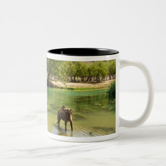 Tasse 2 Couleurs Oman, Wadi darbat (Droit)