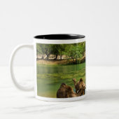 Tasse 2 Couleurs Oman, Wadi darbat (Gauche)