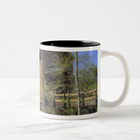 Tasse 2 Couleurs OR, comté de Jackson, pont couvert McKee (Droit)