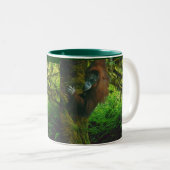Tasse 2 Couleurs Orangoutan sauvage et forêt tropicale Partisan de  (Devant droit)
