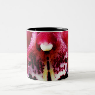 Tasse 2 Couleurs Orchidée 19