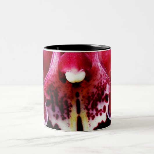 Tasse 2 Couleurs Orchidée 19 (Centre)