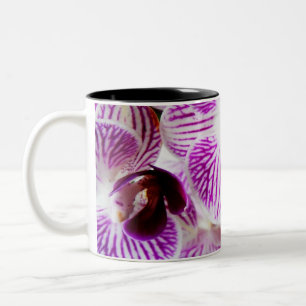 Tasse 2 Couleurs Orchidée 9